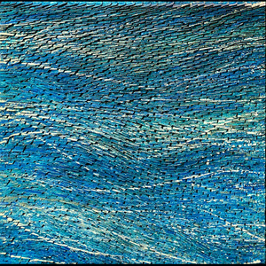 Crystal Cove I