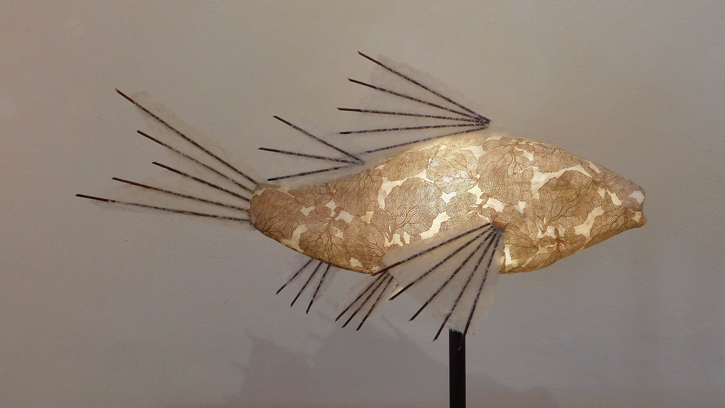 Copper Coral