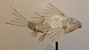 Illusion