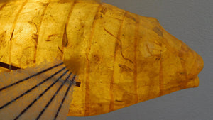 Topaz