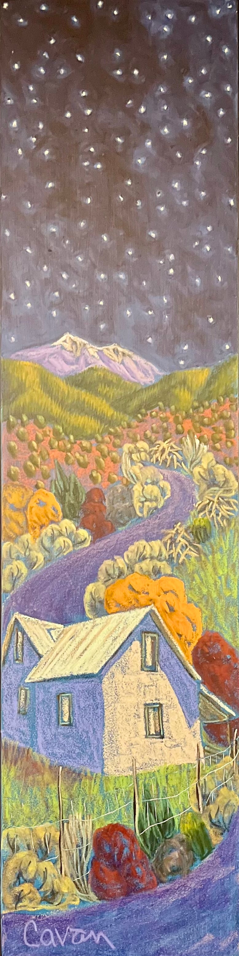 Starry Starry Night
