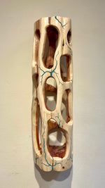 Shape Shifter V