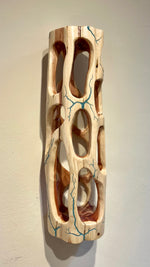 Shape Shifter V