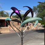 Iris 2 | Large