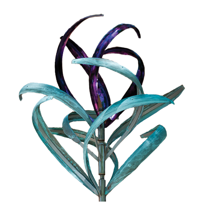 Iris 3