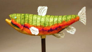 Rainbow Trout
