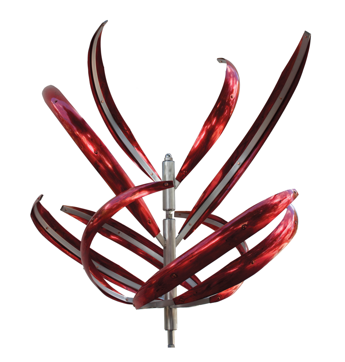 Passion Flower | Medium