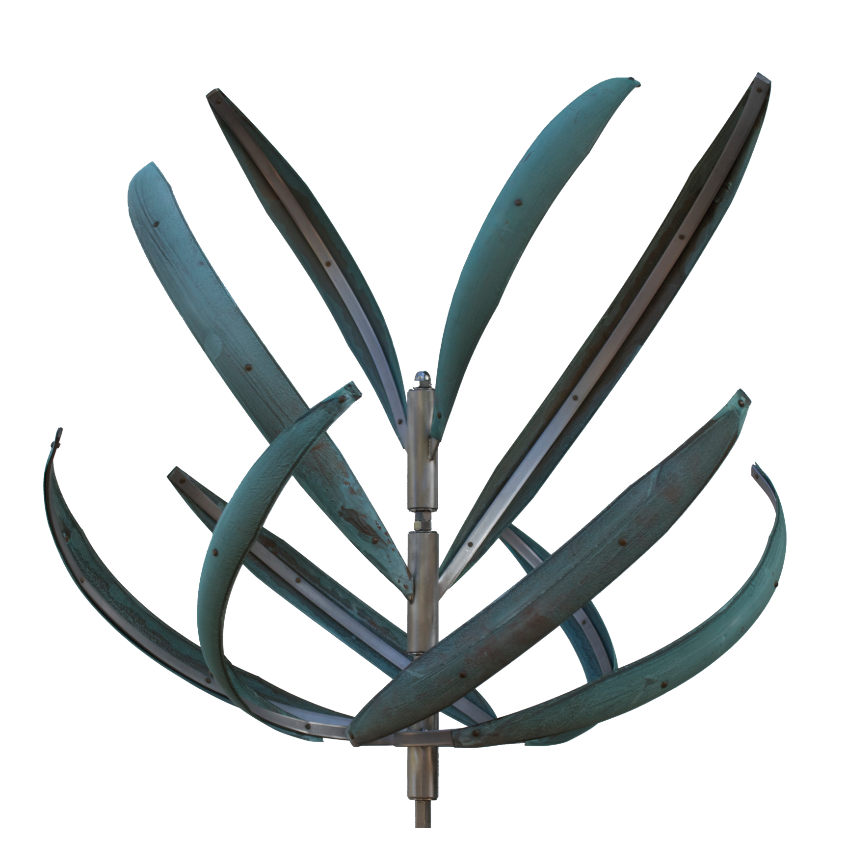 Passion Flower | Medium